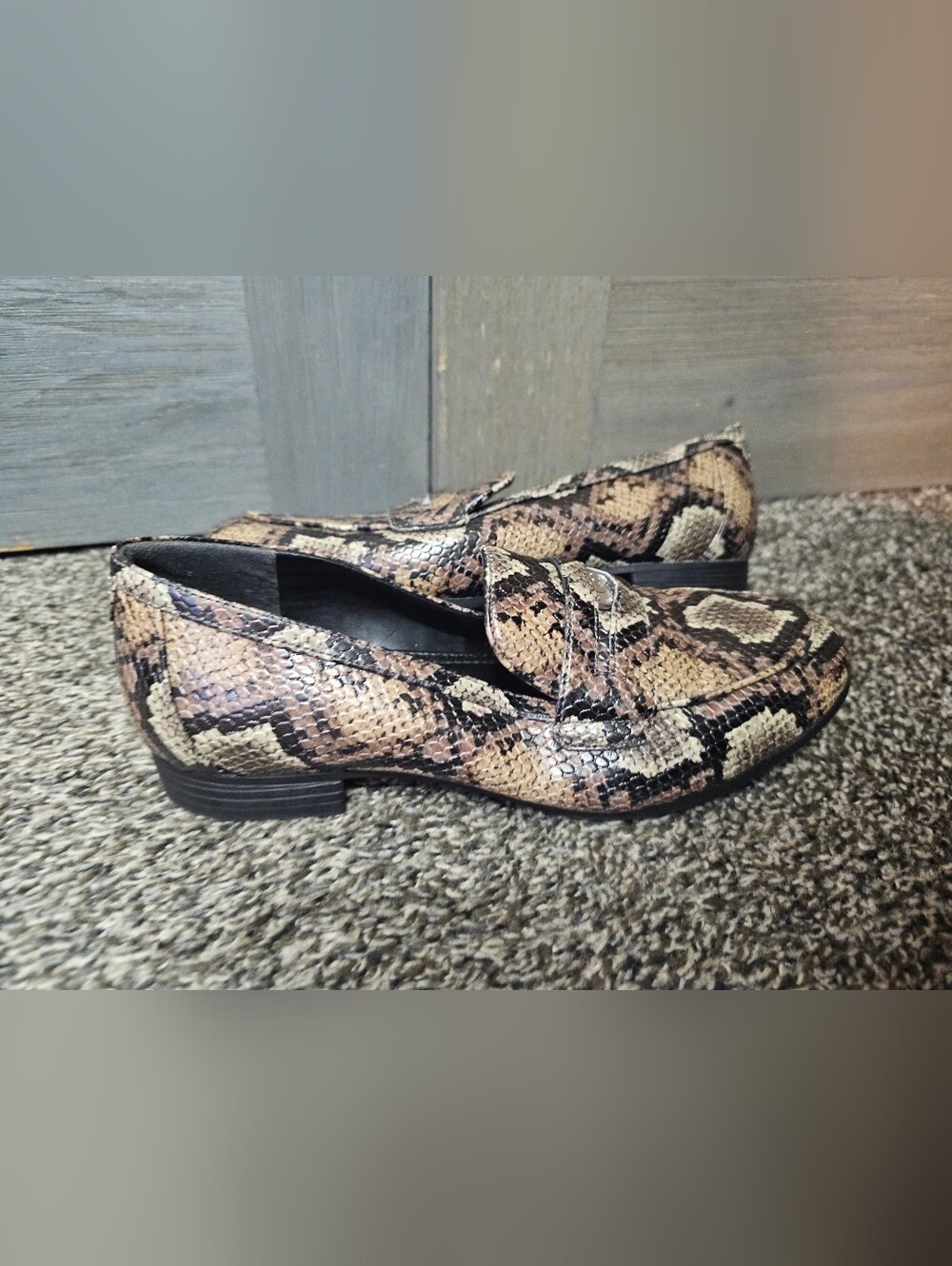 Circus by Sam Edelman Snake Print Shoes sz 6